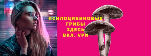 a pvp Арсеньев