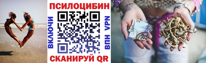 blacksprut зеркало Бологое Псилоцибиновые грибы GOLDEN TEACHER